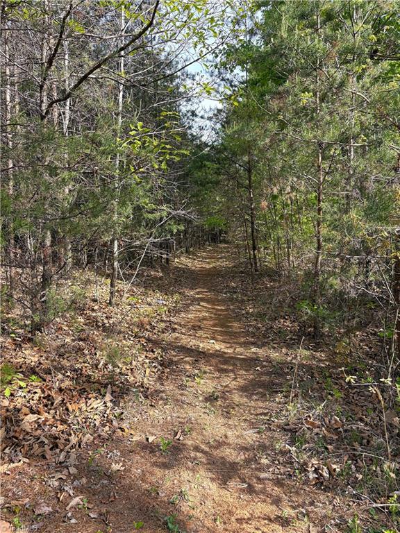521 Matrimony Road Eden, NC 27288 - Photo 25 of 36