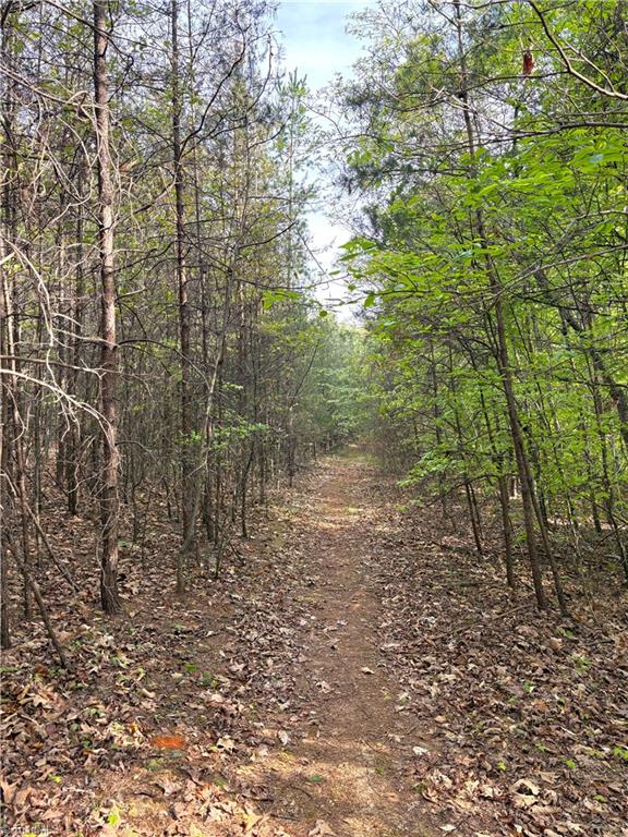 521 Matrimony Road Eden, NC 27288 - Photo 26 of 36