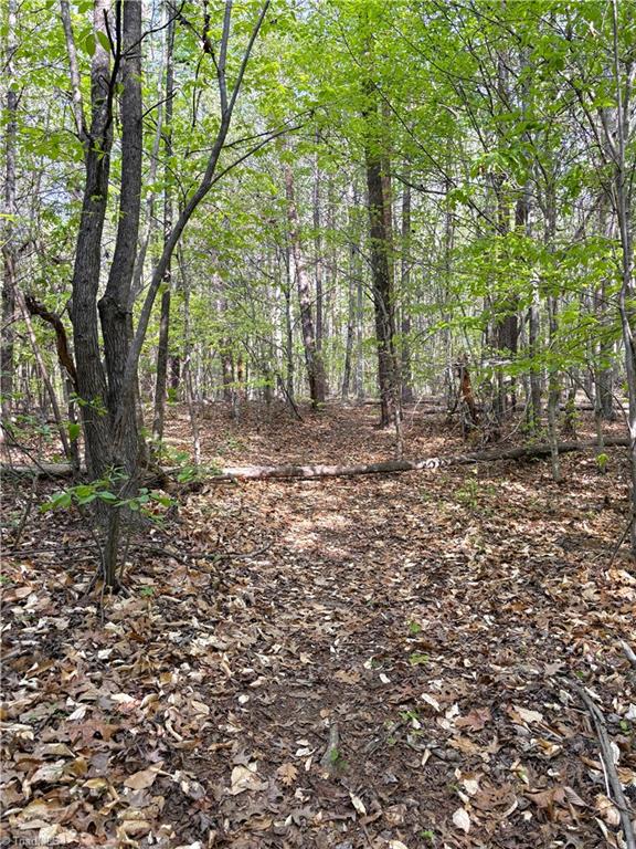 521 Matrimony Road Eden, NC 27288 - Photo 27 of 36