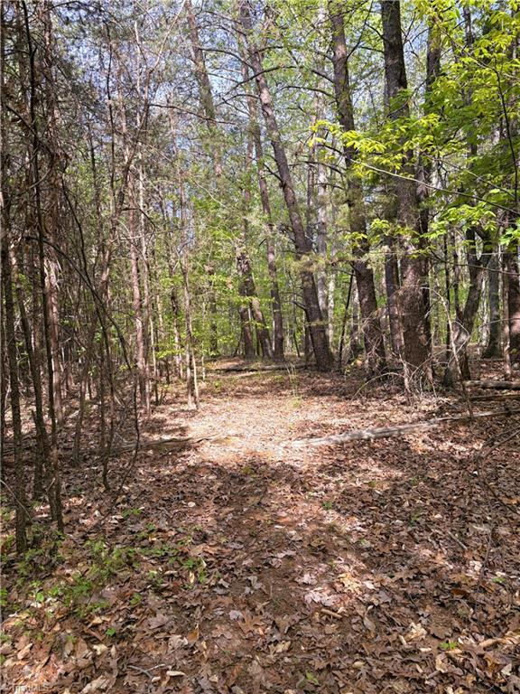 521 Matrimony Road Eden, NC 27288 - Photo 29 of 36