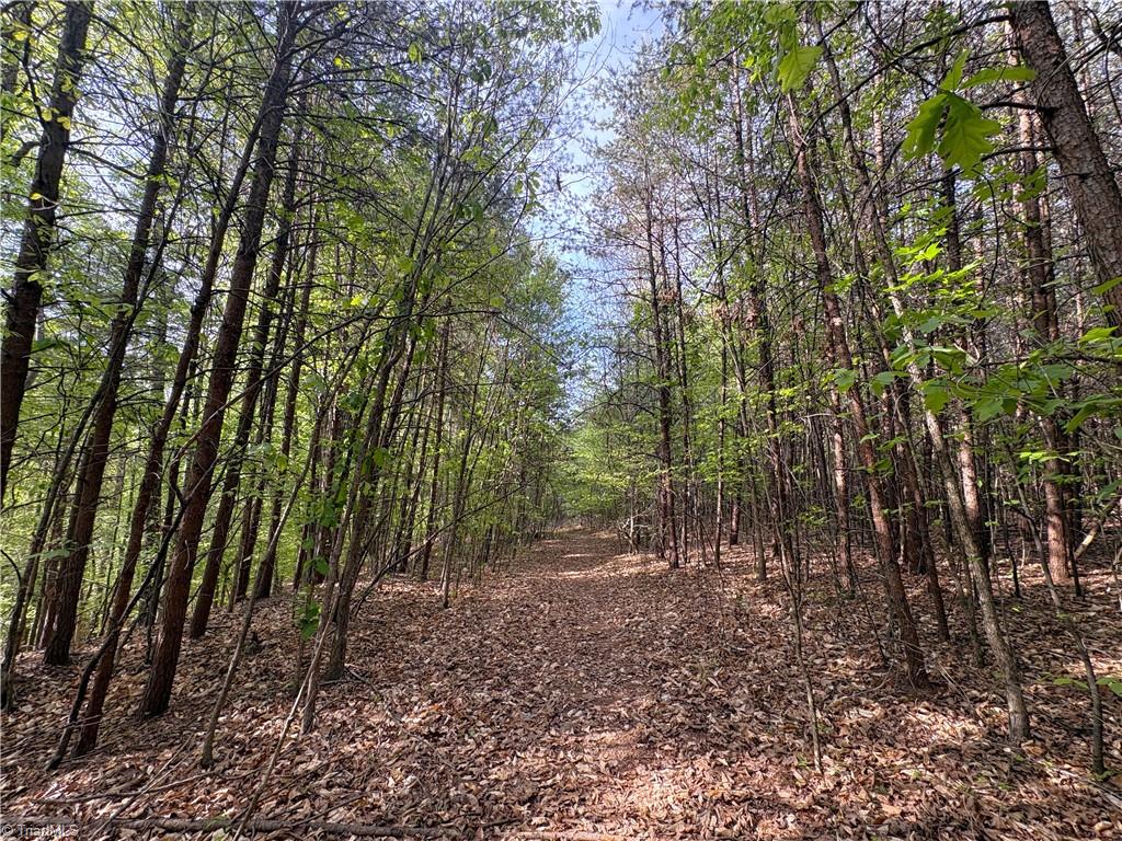 521 Matrimony Road Eden, NC 27288 - Photo 32 of 36