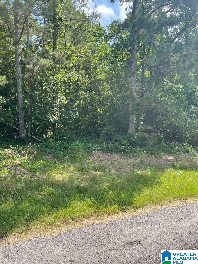 0 Dana Road, Unit 19 Oneonta, AL 35121 - Photo 1 of 1