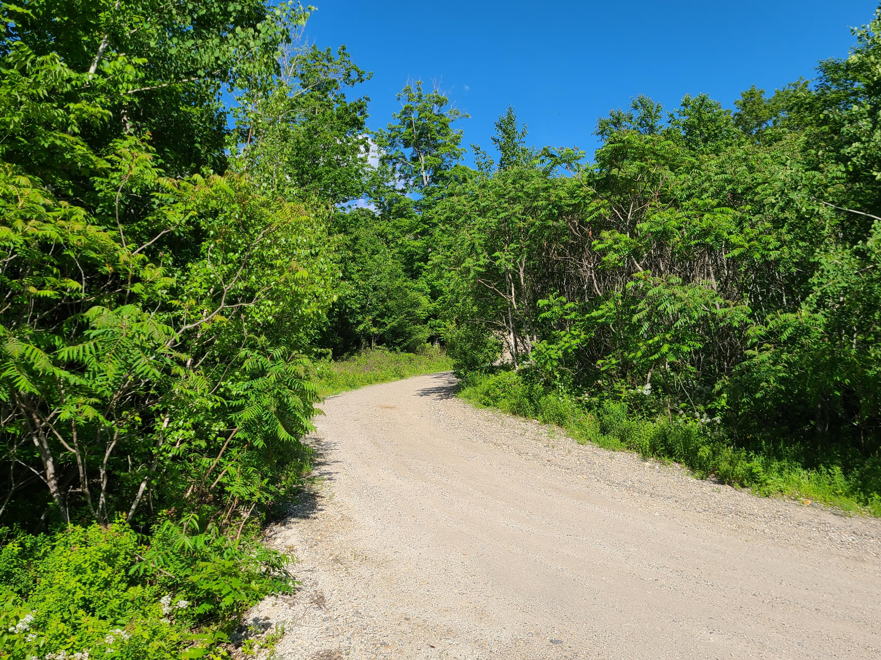 Lot 7 Parsonsfield Road Limerick, ME 04048 - Photo 4 of 13 20220606_165149