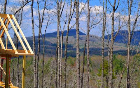 350 Aska Frst Trail Blue Ridge, GA 30513 - Photo 1 of 1 Main View