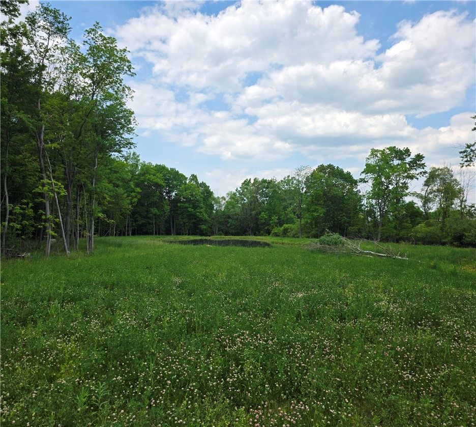 6221 Cleary Road Livonia, NY 14487 - Photo 5 of 14