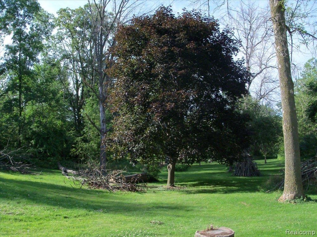 2416 Werner Road Columbus, MI 48063 - Photo 16 of 16 100_0247