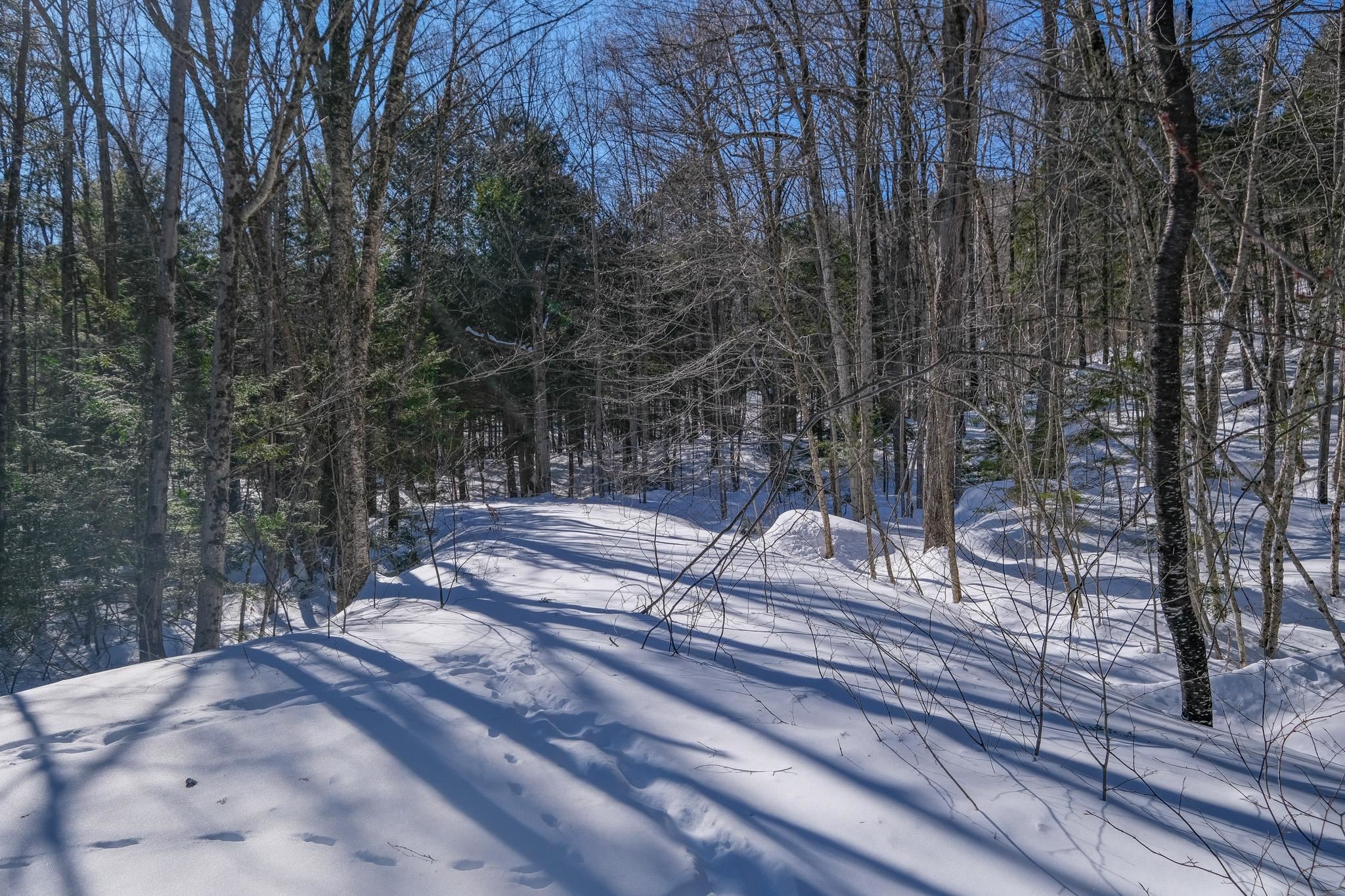 0 Woods Road West, Unit LOT #33 Ludlow, VT 05149 - Photo 3 of 22
