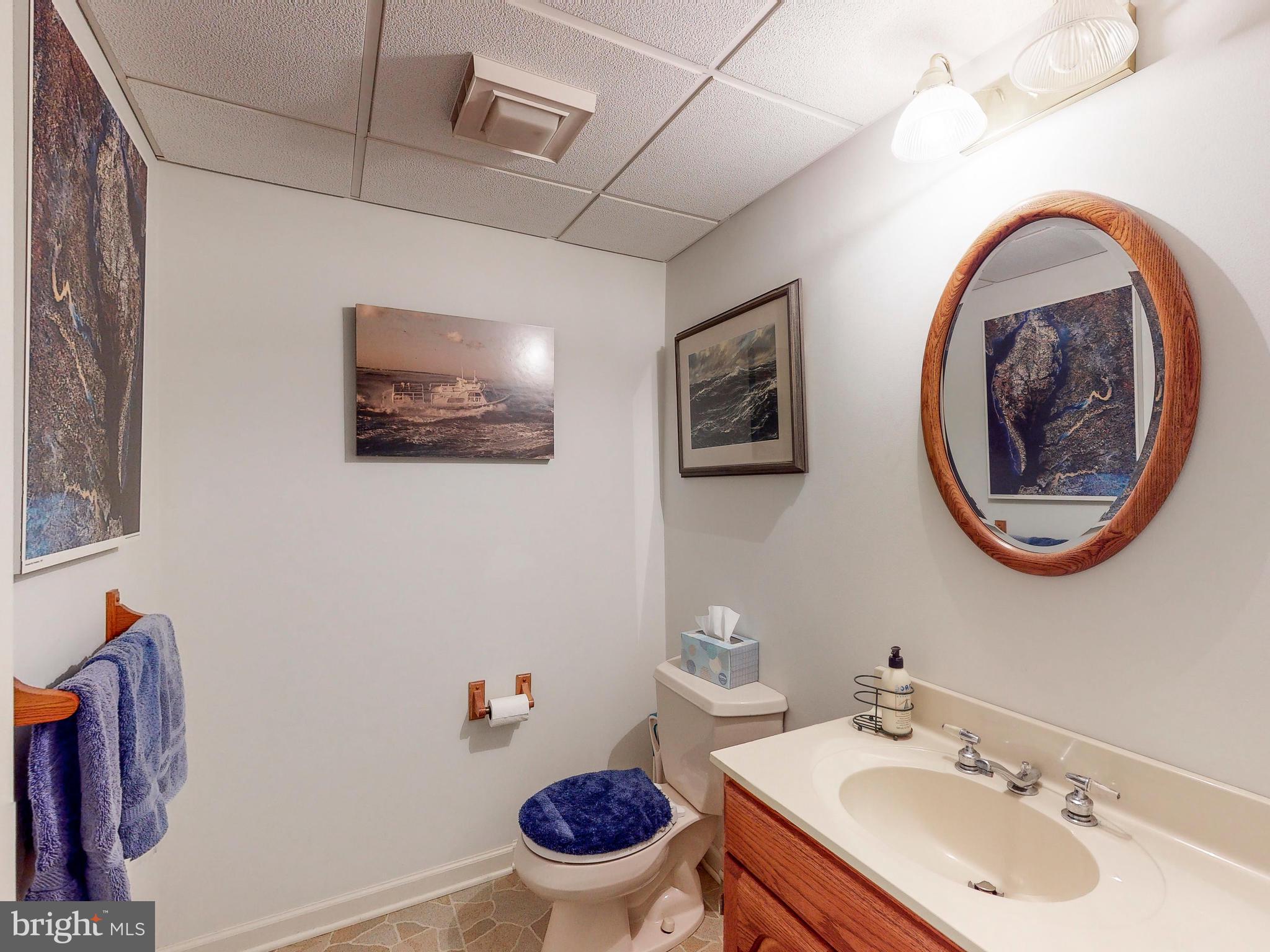 1422 Autumn Leaf Road Baltimore, MD 21286 - Photo 50 of 68 Lower Level