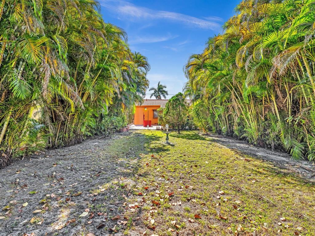 2347 Southwest 18th Street Miami, FL 33145 - Photo 34 of 46 a view of a yard with plants
