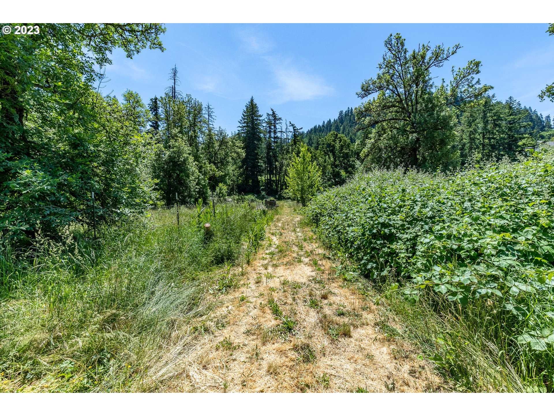 6585 Main Street Springfield, OR 97478 - Photo 8 of 30 a view of a yard with plants and a bench