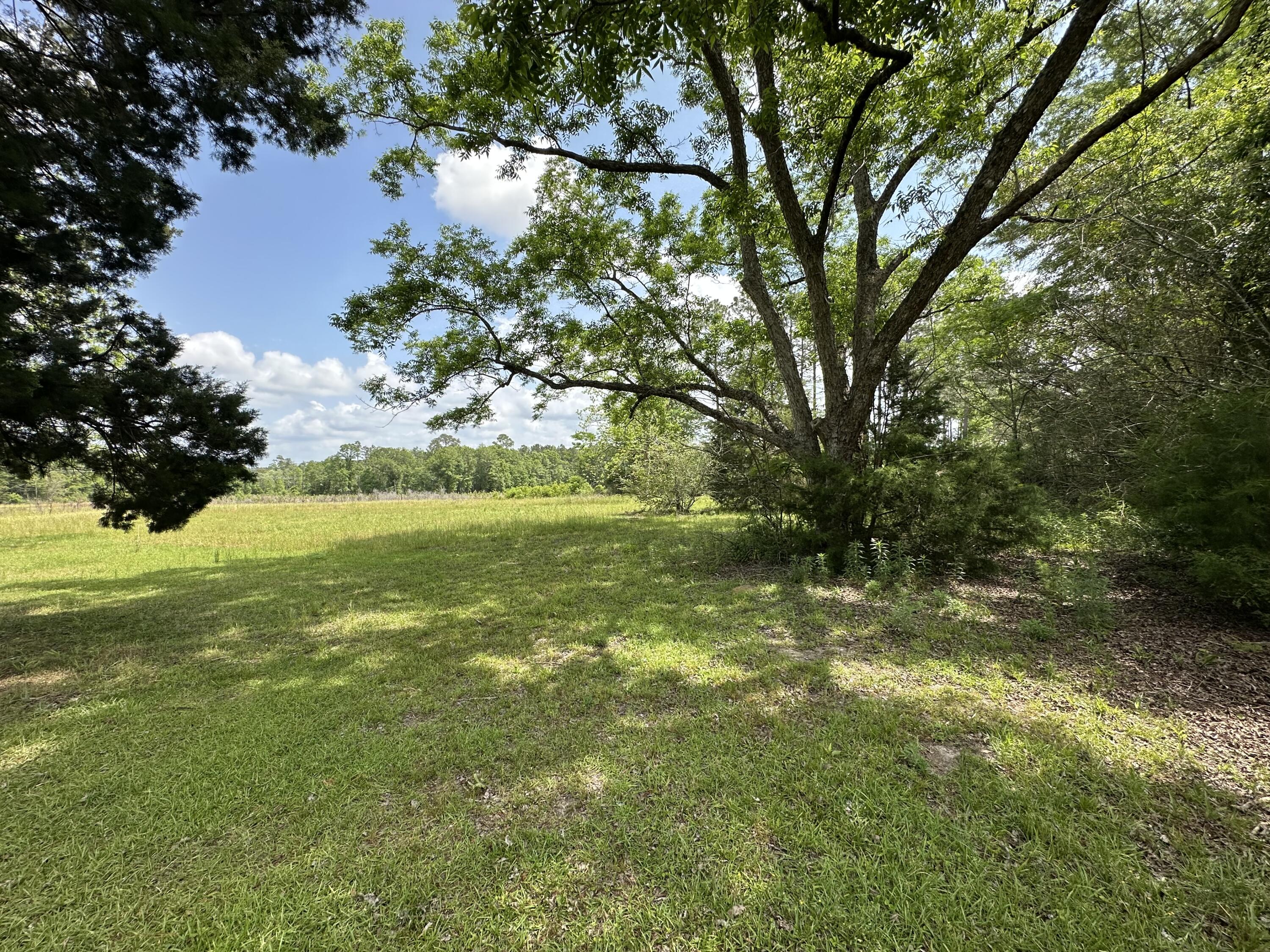 10712 Highway 331 DeFuniak Springs, FL 32433 - Photo 14 of 56 IMG_6926