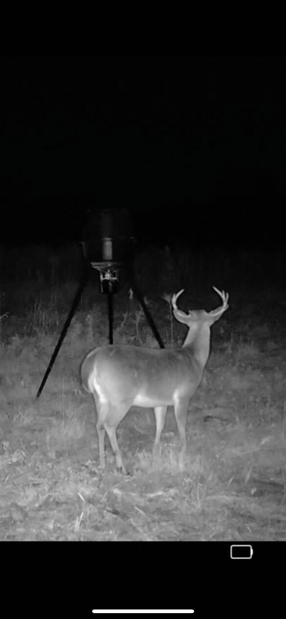 10712 Highway 331 DeFuniak Springs, FL 32433 - Photo 48 of 56 a view of a room with an outdoor space