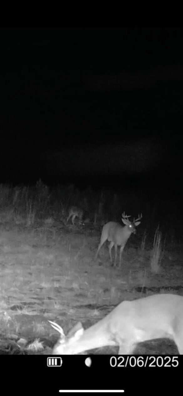 10712 Highway 331 DeFuniak Springs, FL 32433 - Photo 49 of 56 a view of water heater