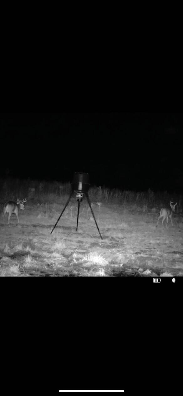 10712 Highway 331 DeFuniak Springs, FL 32433 - Photo 50 of 56 5D9C4651-EBA9-49BB-B3D8-485F6A71B999