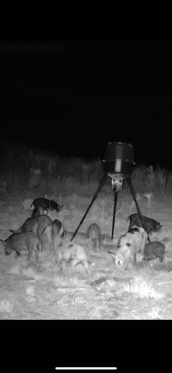 10712 Highway 331 DeFuniak Springs, FL 32433 - Photo 51 of 56 a black and white photo of a room