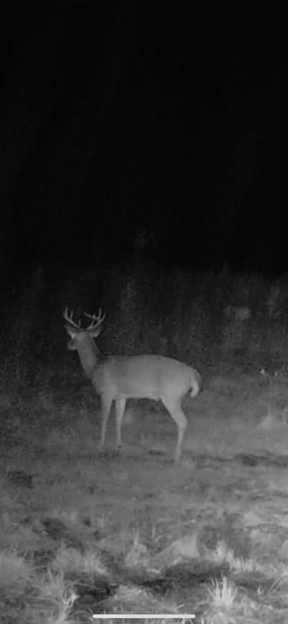 10712 Highway 331 DeFuniak Springs, FL 32433 - Photo 52 of 56 a view of a closet