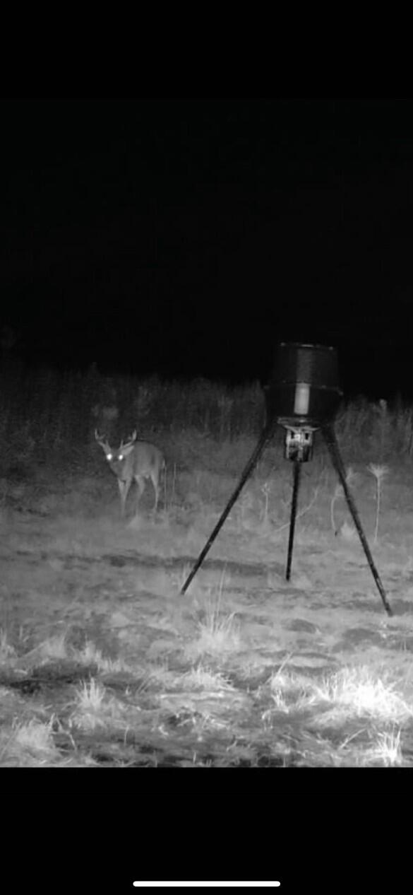 10712 Highway 331 DeFuniak Springs, FL 32433 - Photo 54 of 56 5DDAE7A0-11F9-45CB-9A0E-342774D9673C