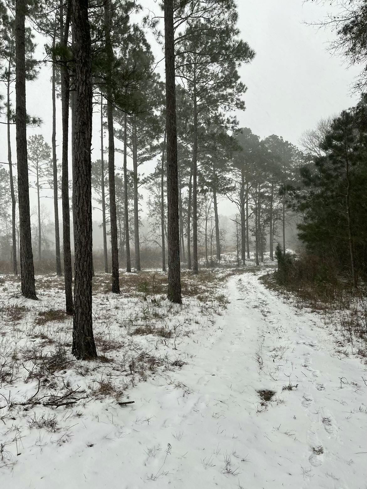 10712 Highway 331 DeFuniak Springs, FL 32433 - Photo 56 of 56 a view of a out door space area