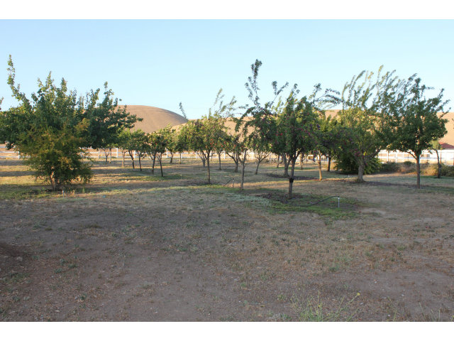 7200 Diablo Hills Road Tres Pinos, CA 95075 - Photo 24 of 24