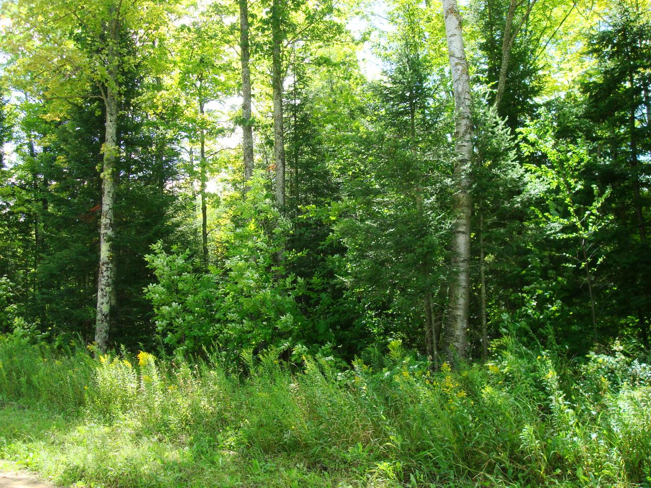 29 Wausau Wi 54401 Ringle, WI 54471 - Photo 1 of 1 Gallery Image 1