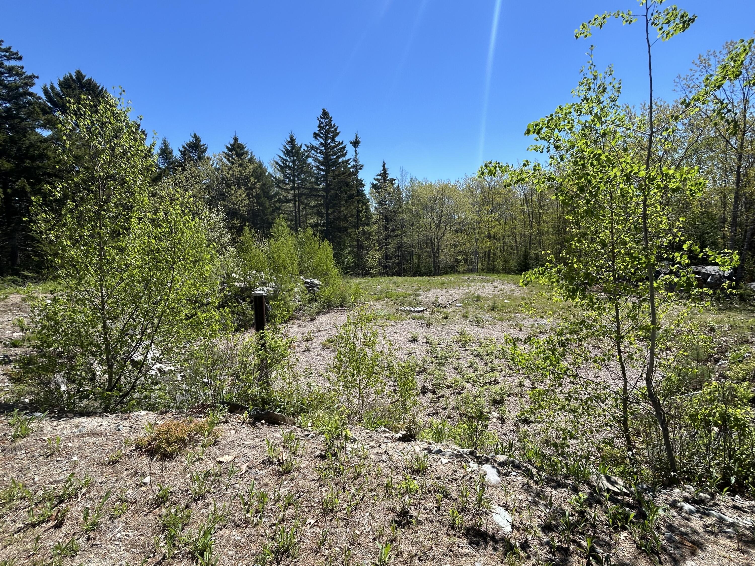 3 Cemetery Road Gouldsboro, ME 04607 - Photo 10 of 21 Behind house site