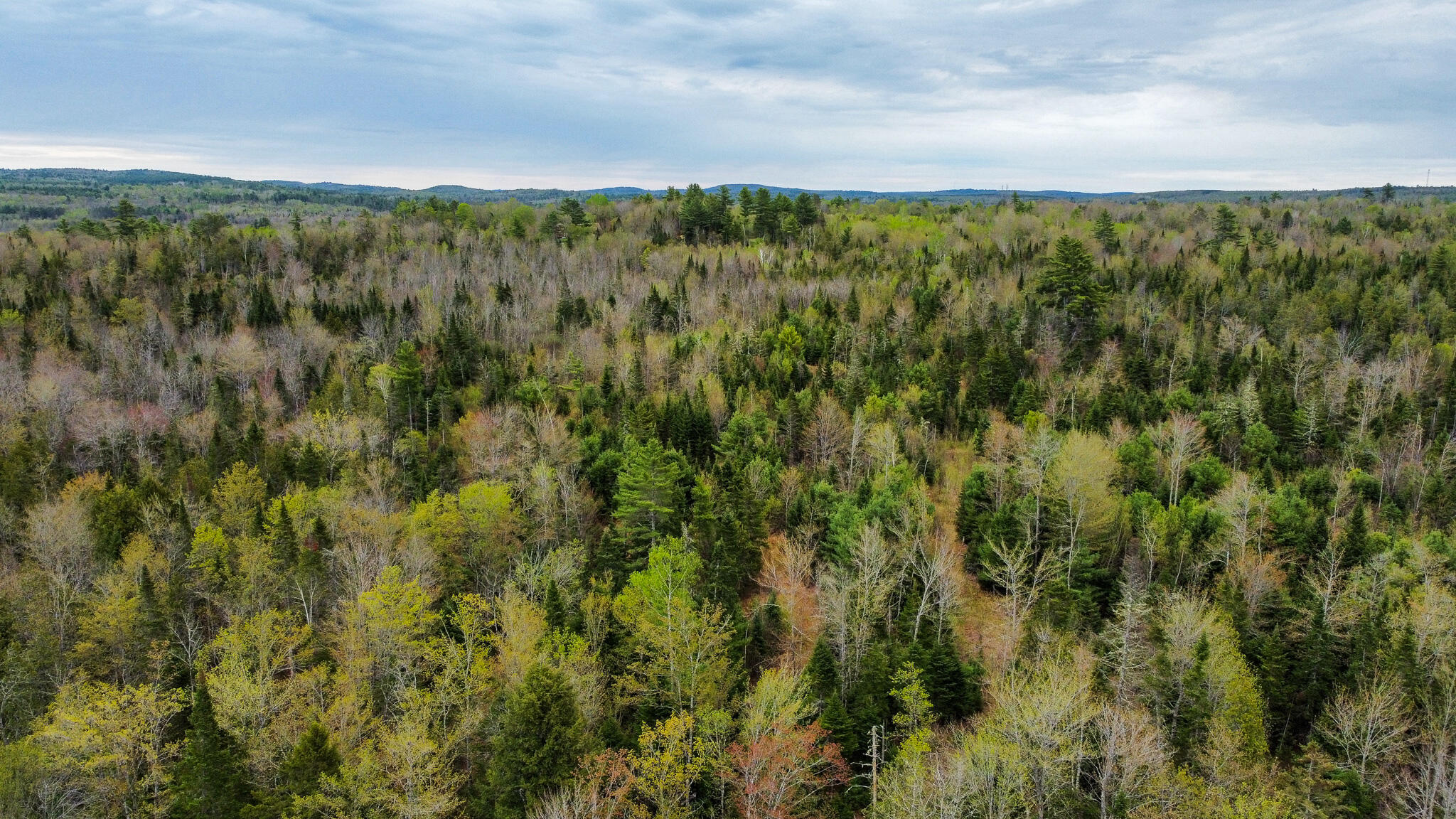 M5-l59 Monument Road Abbot, ME 04406 - Photo 7 of 25