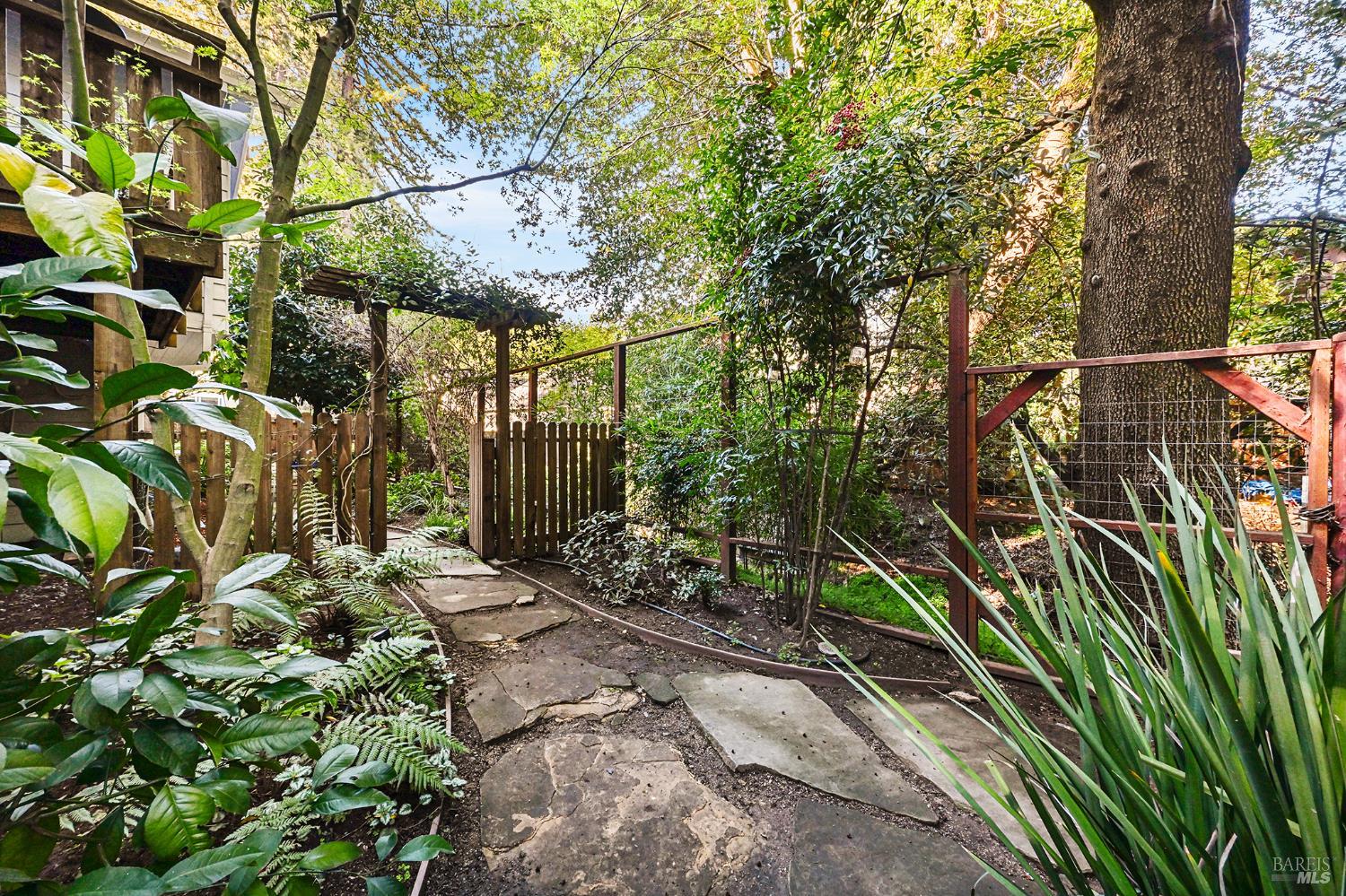 16 Iron Springs Road Fairfax, CA 94930 - Photo 50 of 57