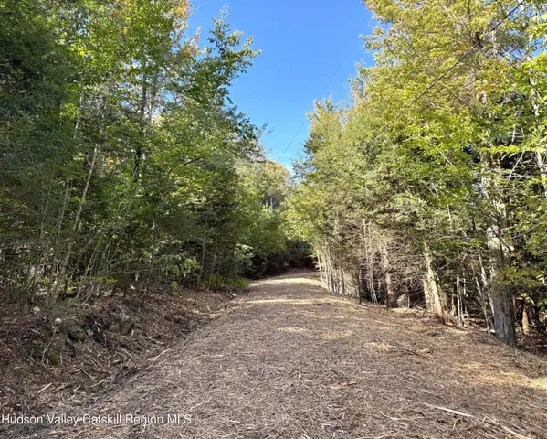 $155,000 | 13 Corfu Road, Elka Park, NY 12427