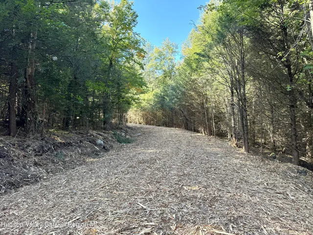 $155,000 | 13 Corfu Road, Elka Park, NY 12427