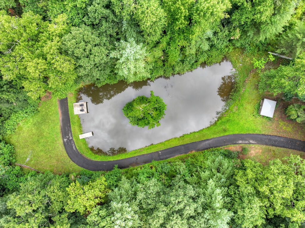 1009 Hefner Lake Road Ellijay, GA 30536 - Photo 79 of 93 Gallery Image 79