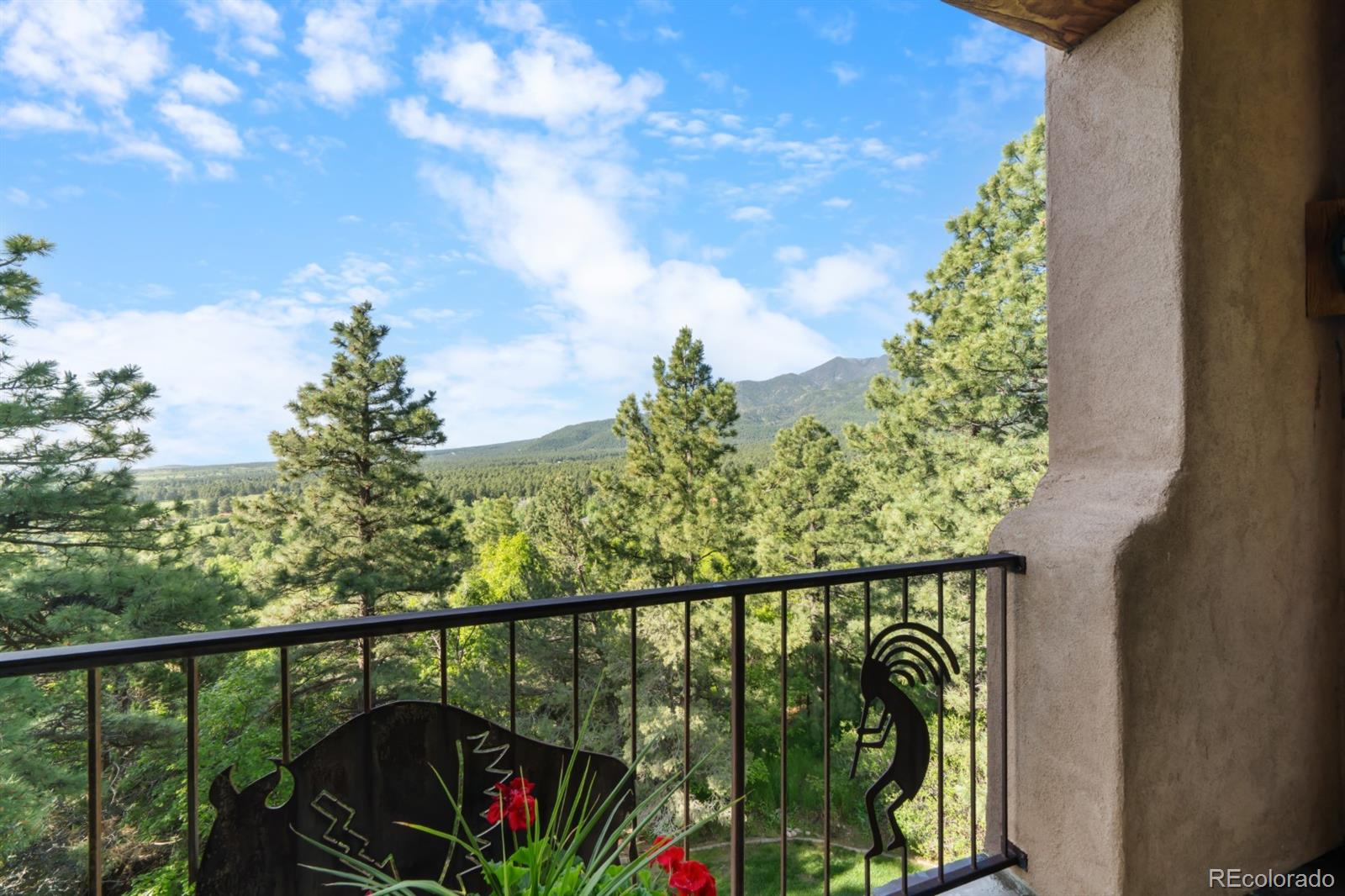8221 Cuerna Verde Road Rye, CO 81069 - Photo 37 of 50 Gallery Image 37