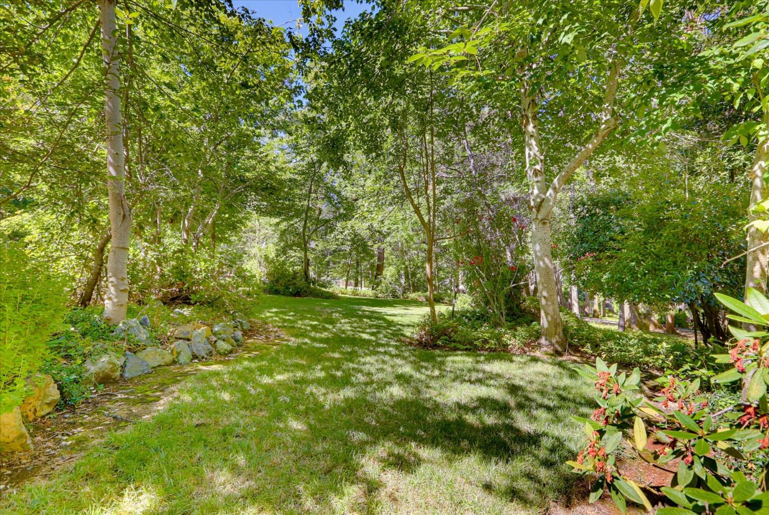 11010 Success Cross Road Nevada City, CA 95959 - Photo 5 of 89 Mature Front Landscape