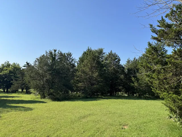 a view of a field with trees in the background