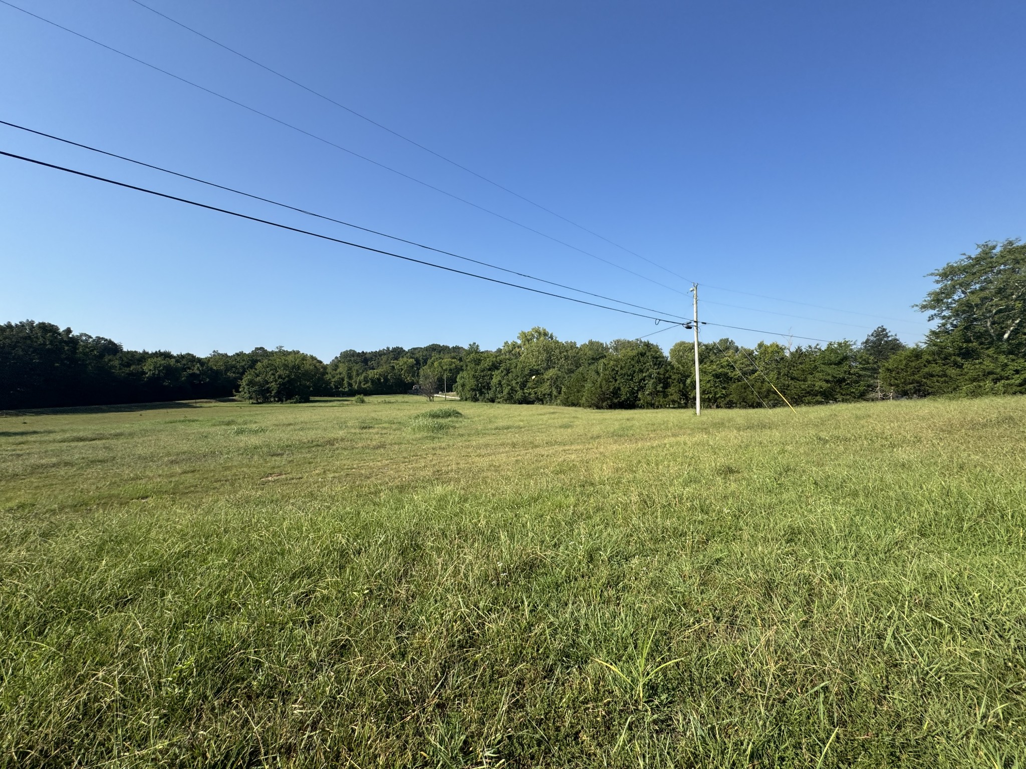 0 Lunns Store Road Chapel Hill, TN 37034 - Photo 12 of 19 a view of outdoor space and yard