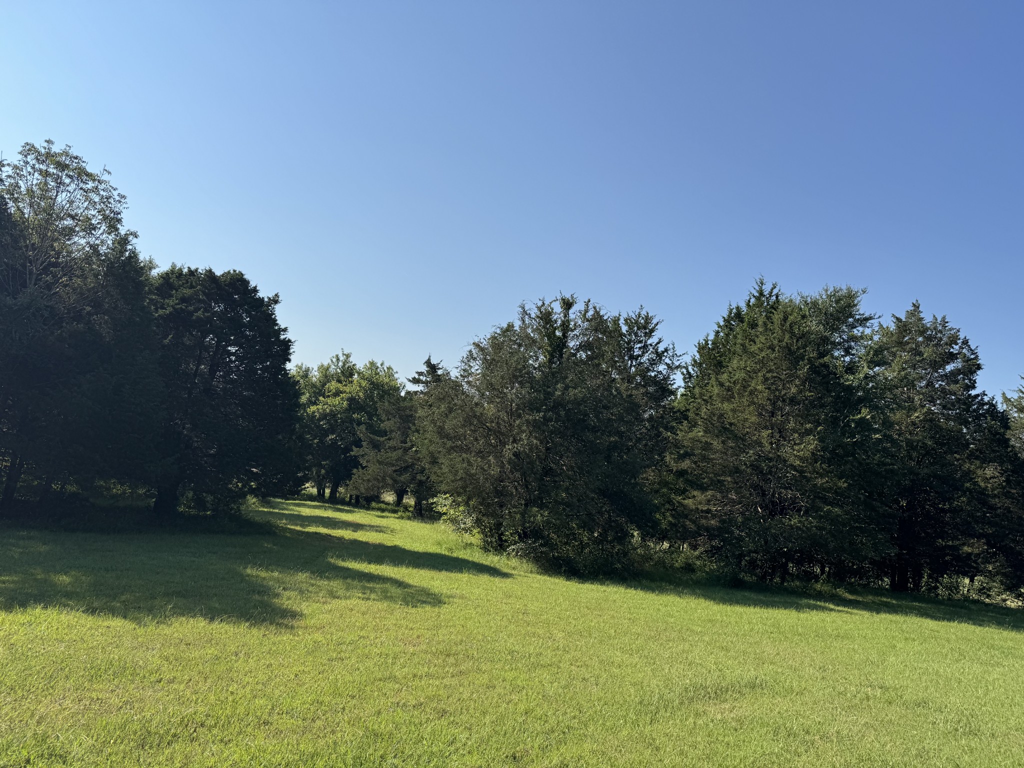 0 Lunns Store Road Chapel Hill, TN 37034 - Photo 13 of 19 a view of a green field with trees in the background