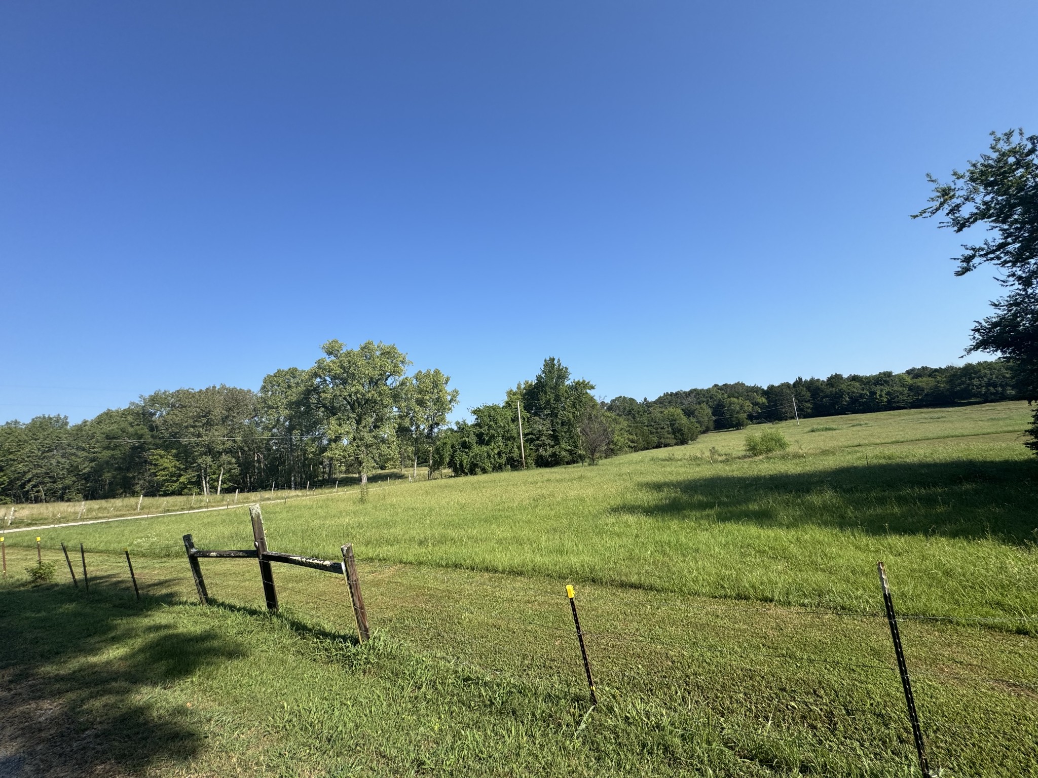 0 Lunns Store Road Chapel Hill, TN 37034 - Photo 13 of 19 a view of a green field with wooden fence