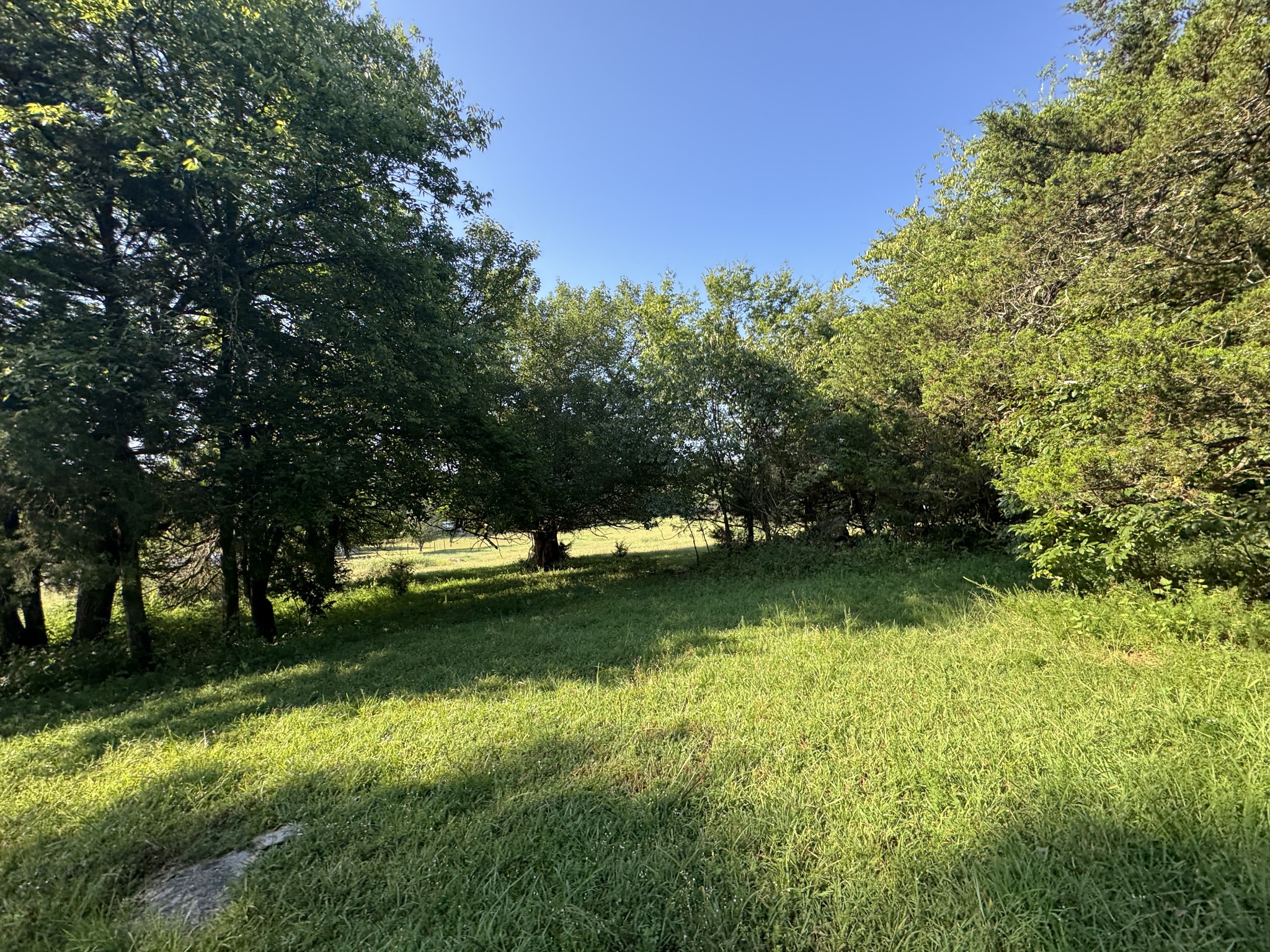 0 Lunns Store Road Chapel Hill, TN 37034 - Photo 14 of 19 a view of yard with green space