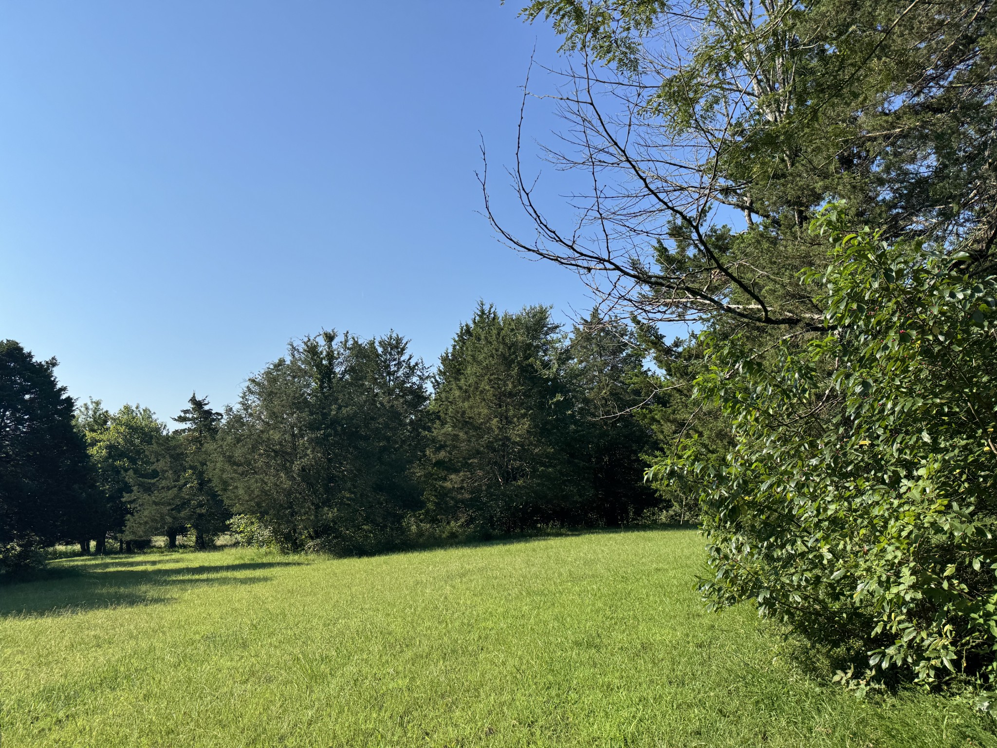 0 Lunns Store Road Chapel Hill, TN 37034 - Photo 16 of 19 a backyard of a house with lots of green space