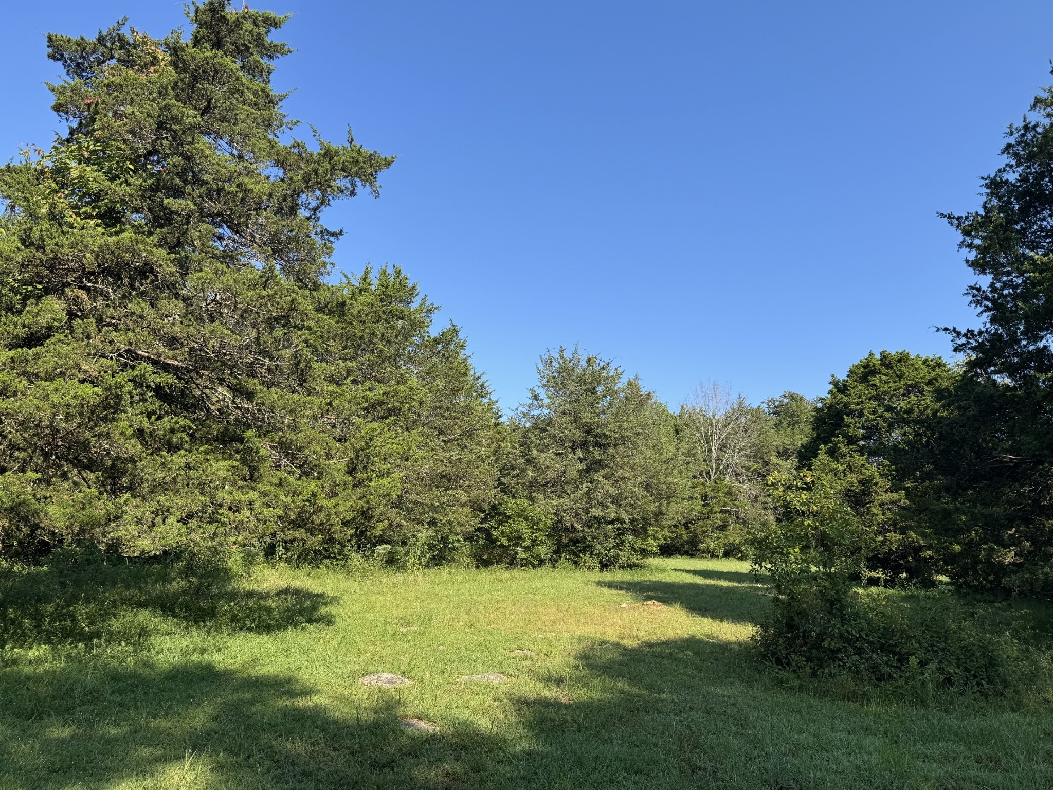 0 Lunns Store Road Chapel Hill, TN 37034 - Photo 18 of 19