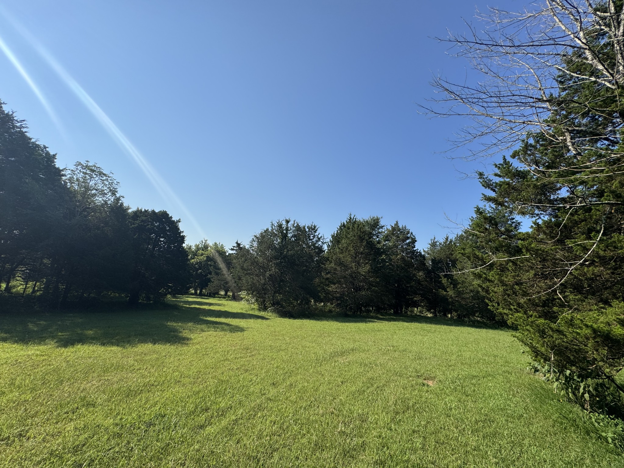 0 Lunns Store Road Chapel Hill, TN 37034 - Photo 2 of 19 a view of a green field with wooden fence