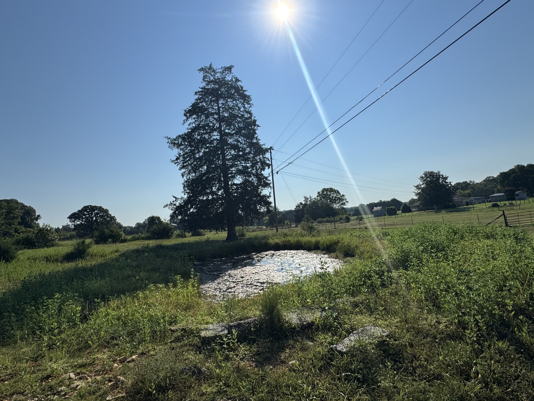 0 Lunns Store Road Chapel Hill, TN 37034 - Photo 5 of 19 a view of a lake with a yard