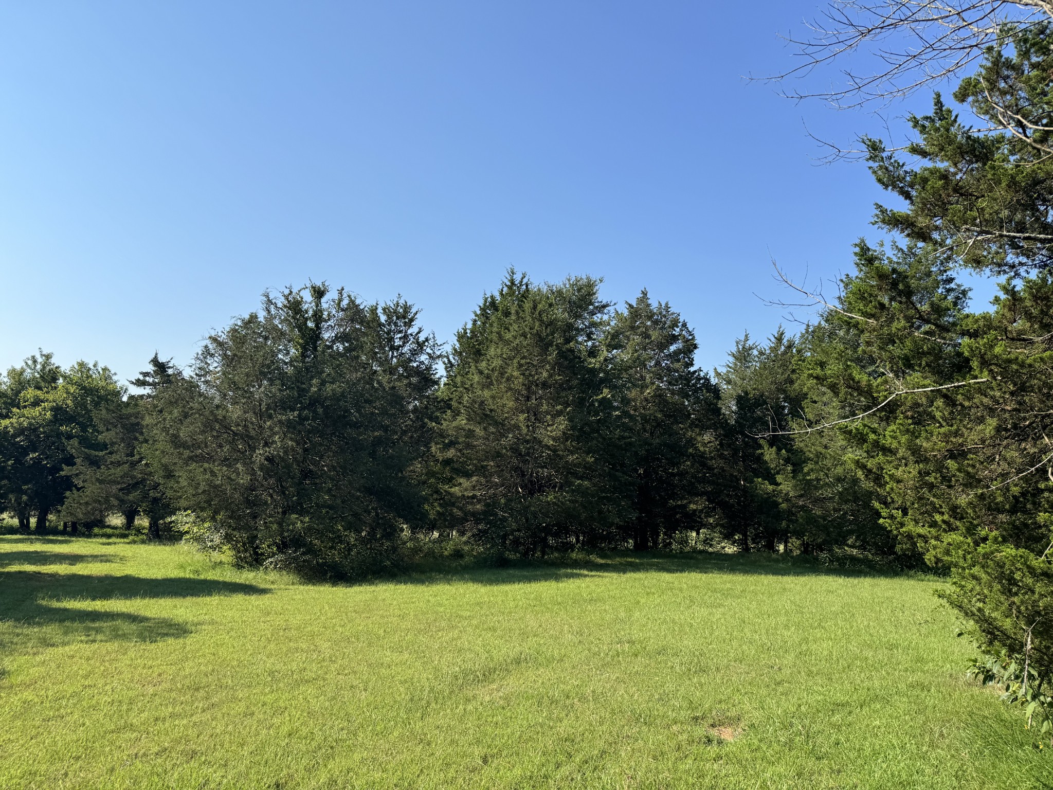 0 Lunns Store Road Chapel Hill, TN 37034 - Photo 7 of 19 a view of a field with trees in the background