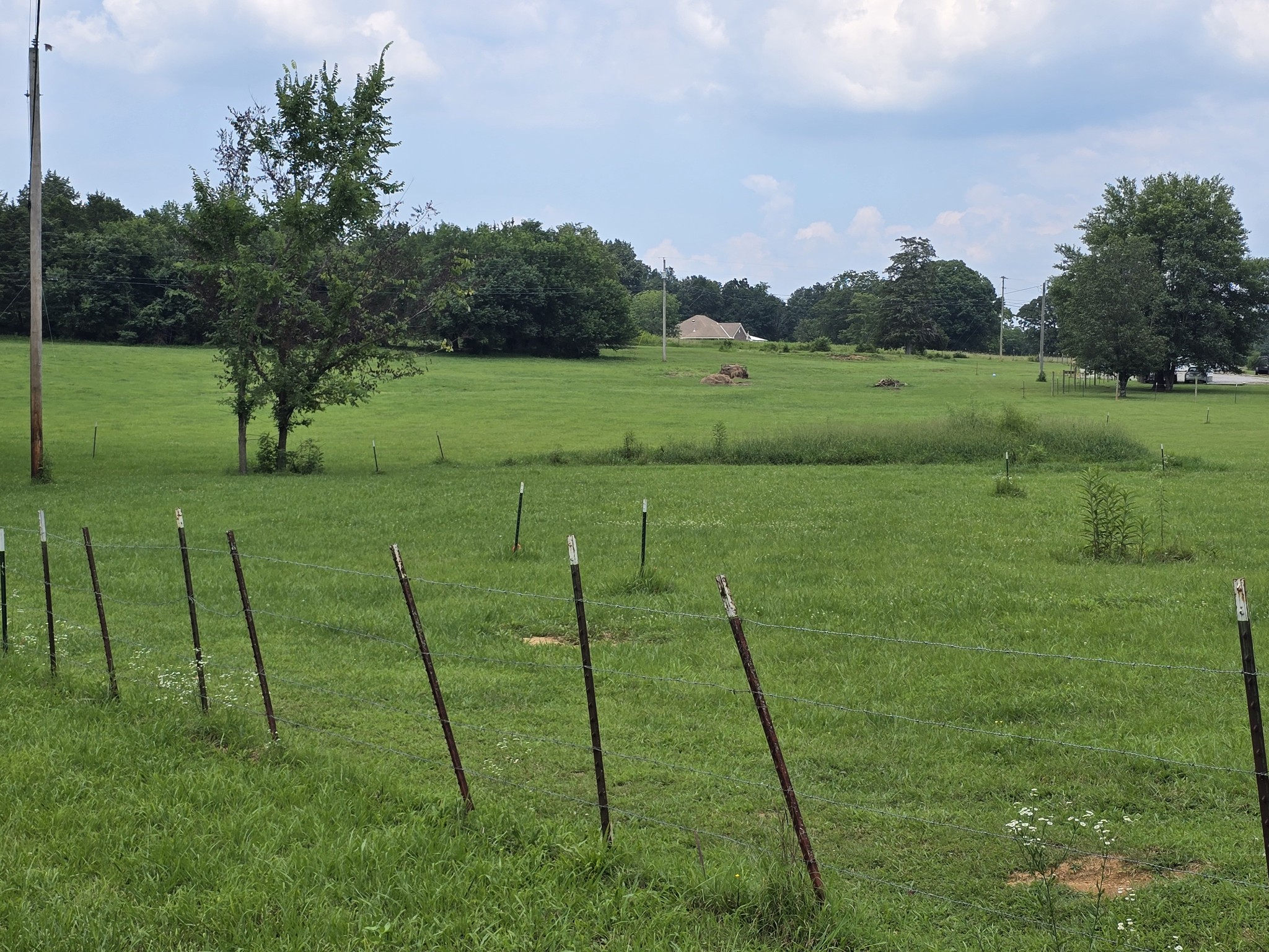 0 Lunns Store Road Chapel Hill, TN 37034 - Photo 9 of 19 a view of an outdoor space and a yard