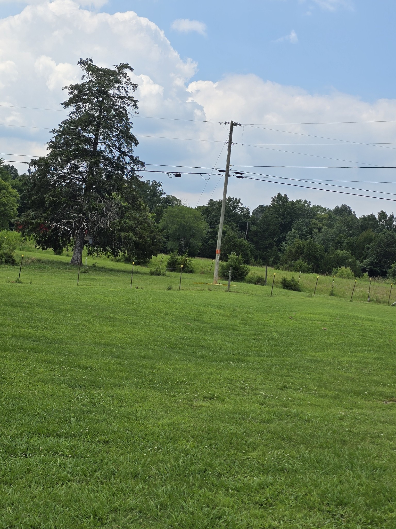 0 Lunns Store Road Chapel Hill, TN 37034 - Photo 10 of 19 a view of a golf course with a lake