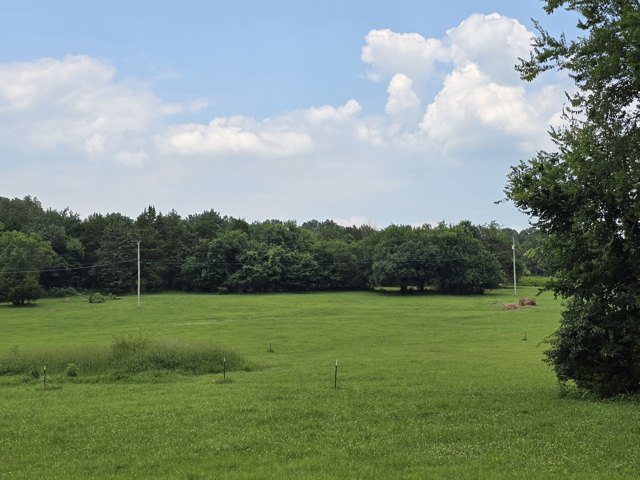 0 Lunns Store Road Chapel Hill, TN 37034 - Photo 10 of 19 a view of field with tall trees