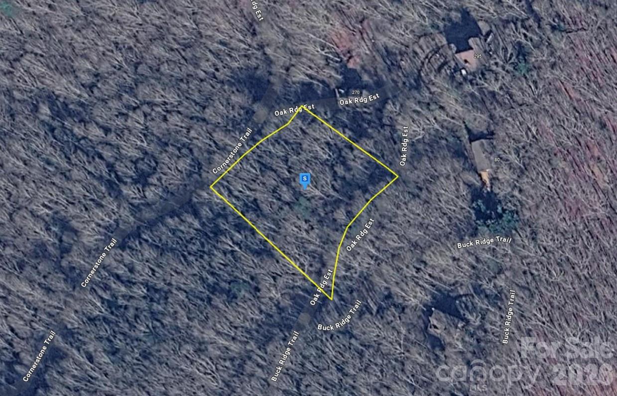 300 Oak Rdg Estate Murphy, NC 28906 - Photo 1 of 5 a view of a forest with a trees