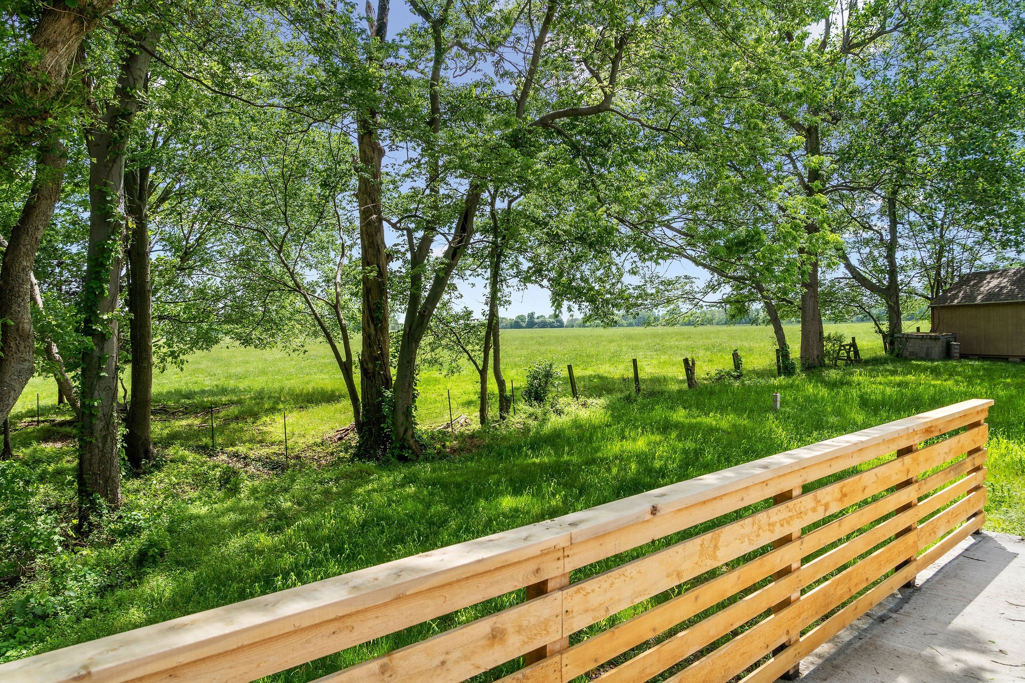 3612 Rossview Road Adams, TN 37010 - Photo 36 of 41 a view of a garden with trees