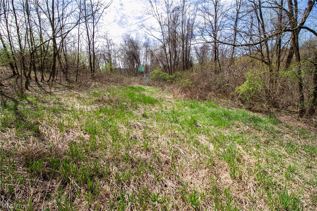 11-ac Whiskey Run Road Quaker City, OH 43773 - Photo 24 of 35
