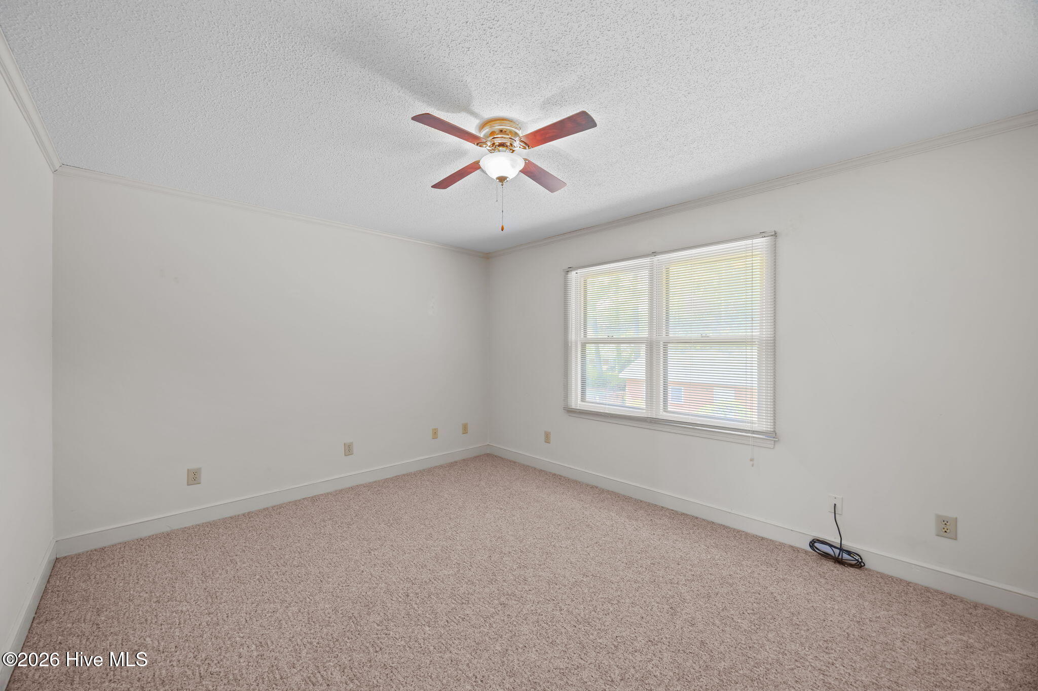 3014 Rouse Road Kinston, NC 28504 - Photo 33 of 54 33-web-or-mls-BLS_0063