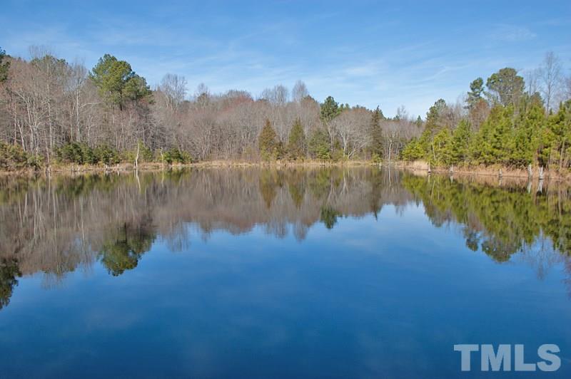 3000 Horseshoe Road Creedmoor, NC 27522 - Photo 2 of 12